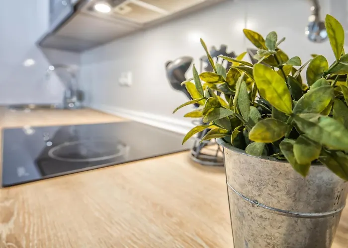 Gondomar Center Appartamento